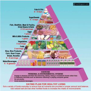 daily nutritional guide pyramid