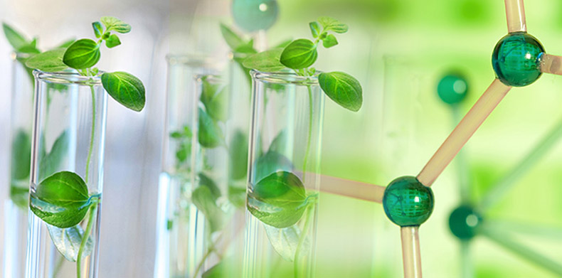 Food Science Sector in the Life Sciences Industry Continues to Expand Food Science Sector in the Life Sciences Industry Continues to Expand Green Chemistry